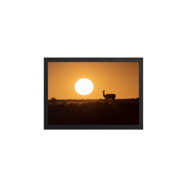 Guanaco framed matte paper poster - Imagen 9