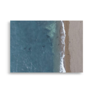 Canal de Ataque de Orcas en Península Valdés - Poster de papel mate